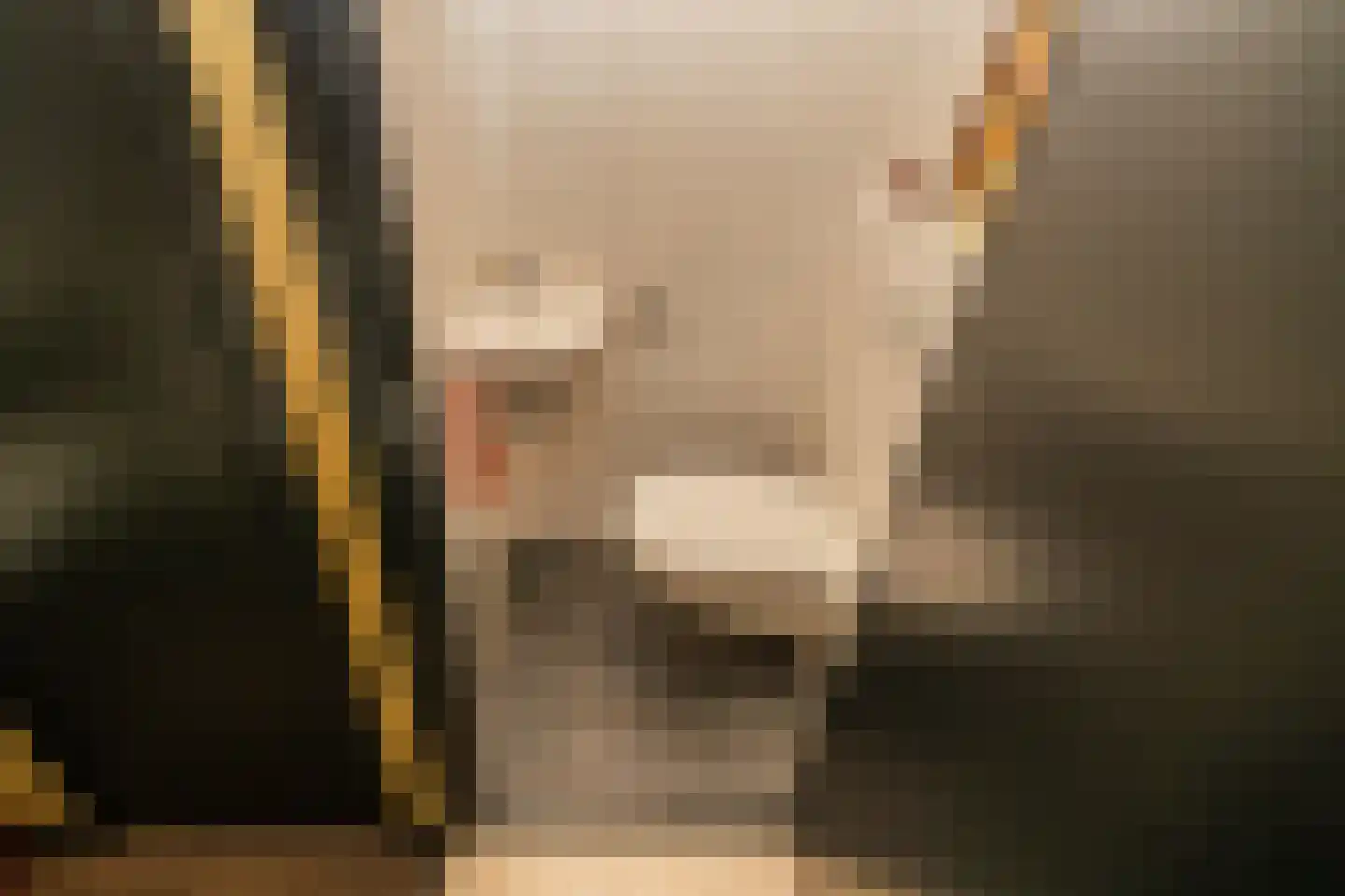 Hofzicht 34 Honselersdijk thumbnail 20