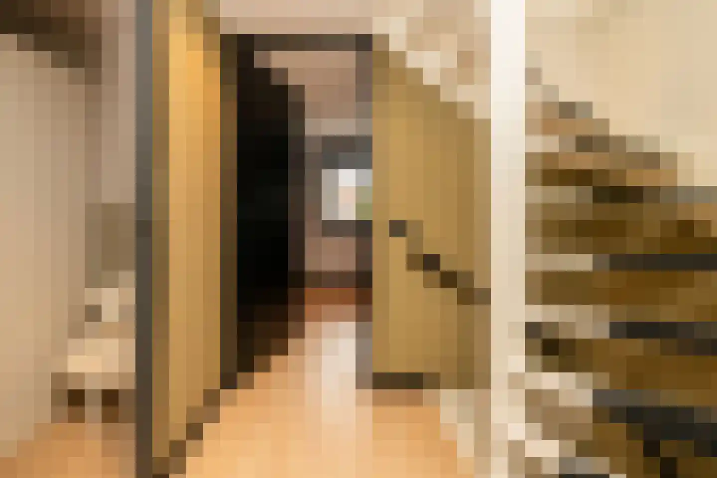 Hofzicht 34 Honselersdijk thumbnail 21
