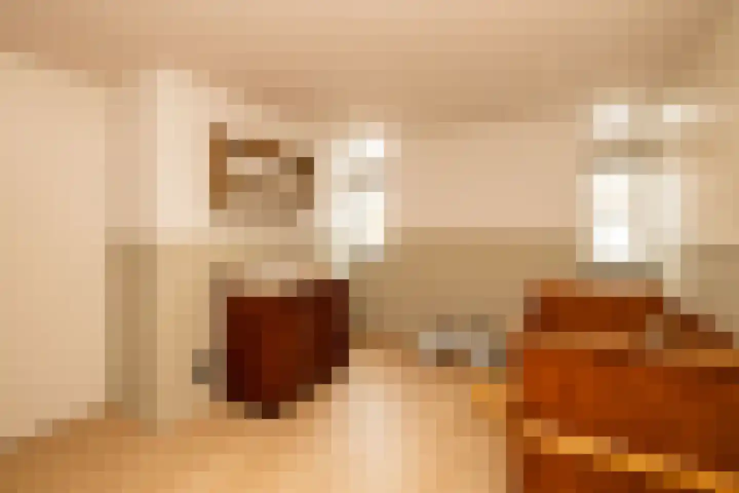 Hofzicht 34 Honselersdijk thumbnail 31