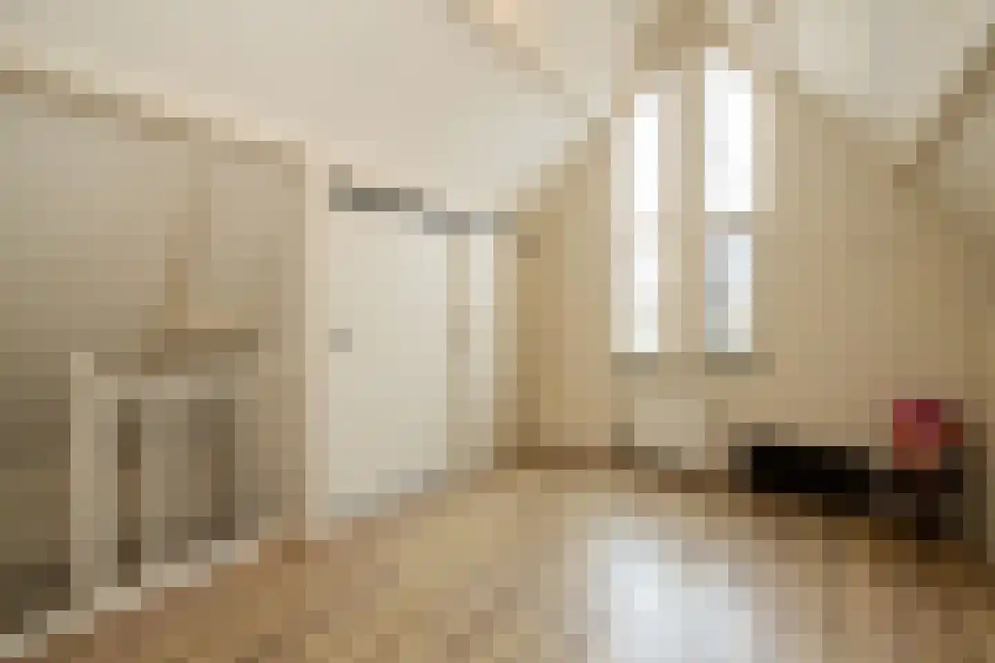 Hofzicht 34 Honselersdijk thumbnail 33