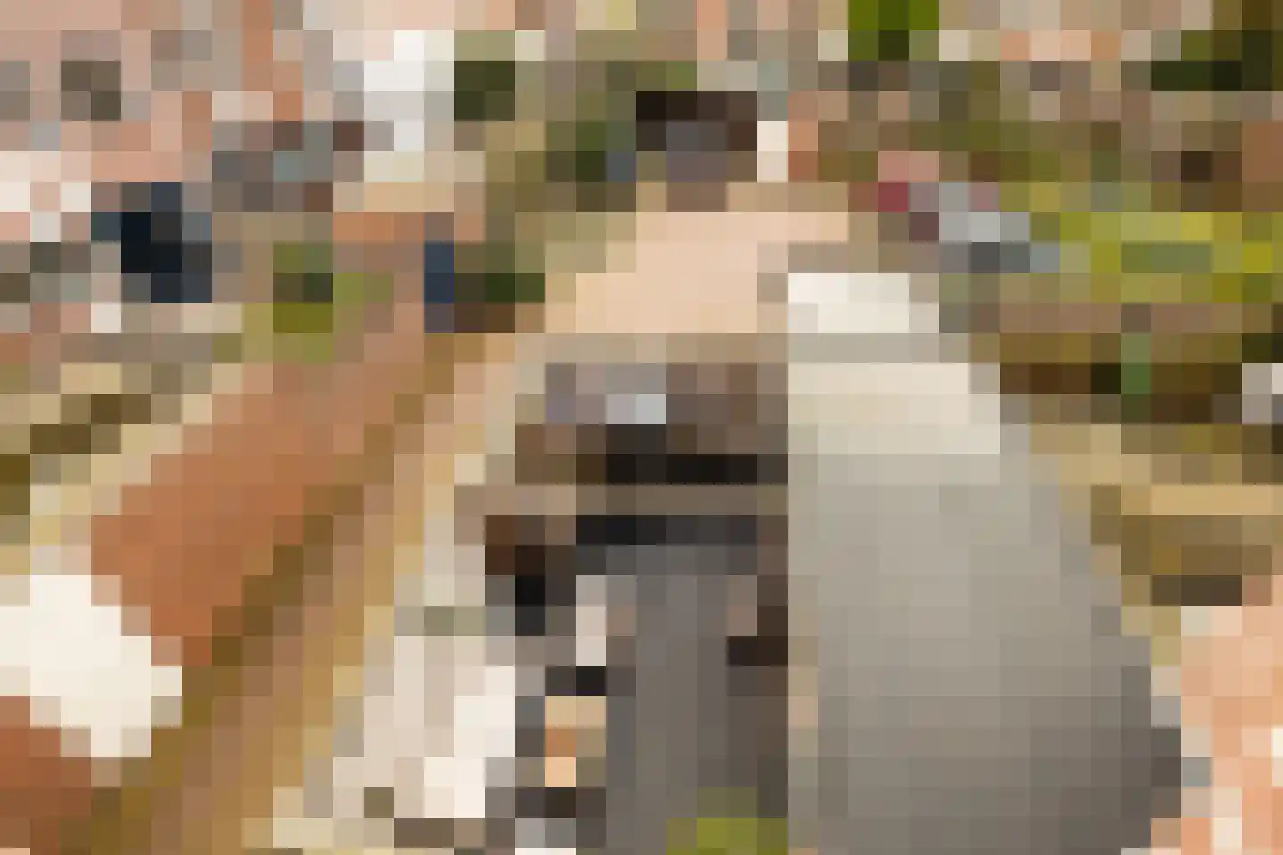 Hofzicht 34 Honselersdijk thumbnail 38