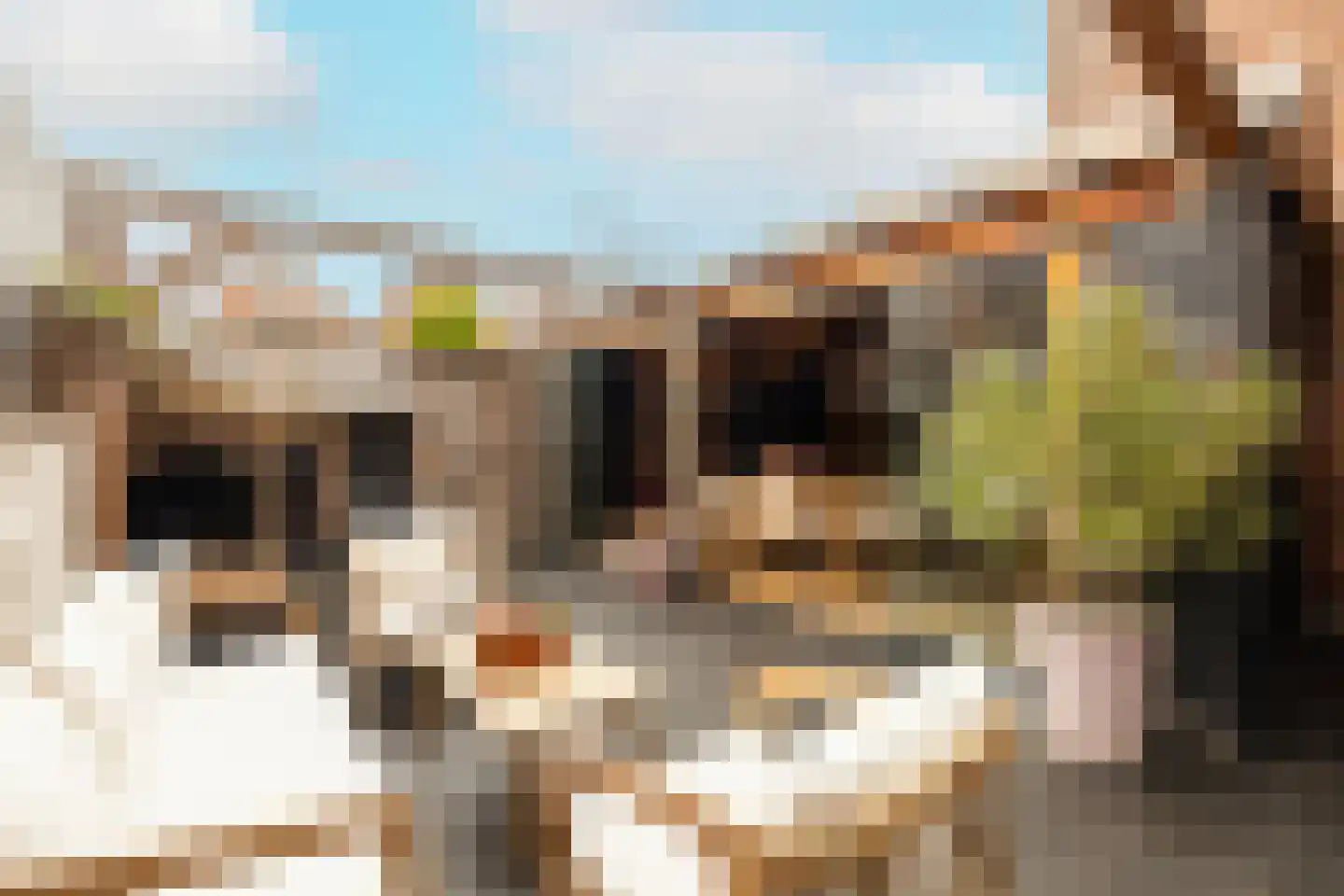 Hofzicht 34 Honselersdijk thumbnail 4