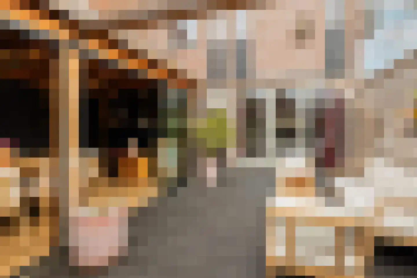 Hofzicht 34 Honselersdijk thumbnail 40