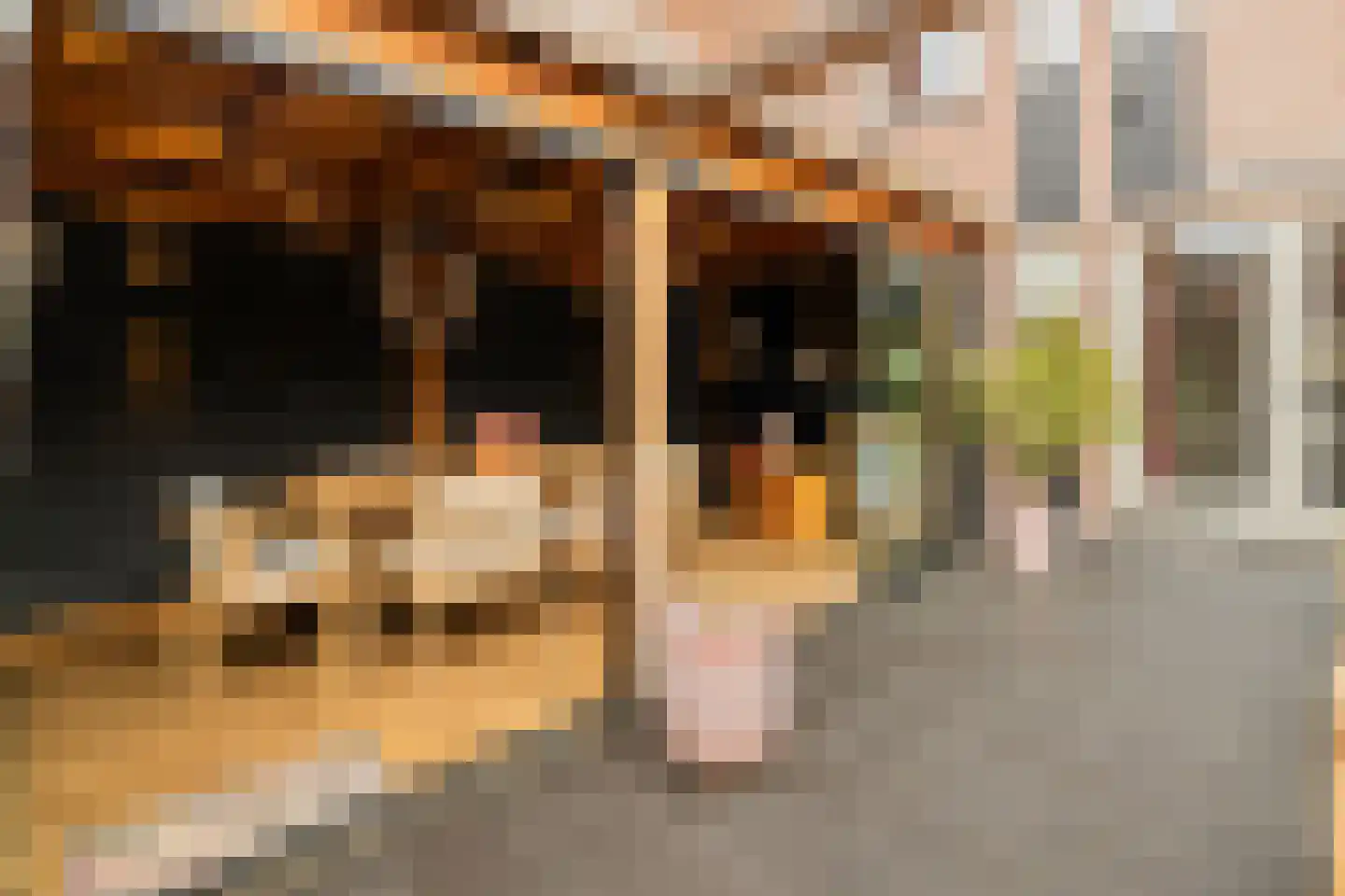 Hofzicht 34 Honselersdijk thumbnail 42