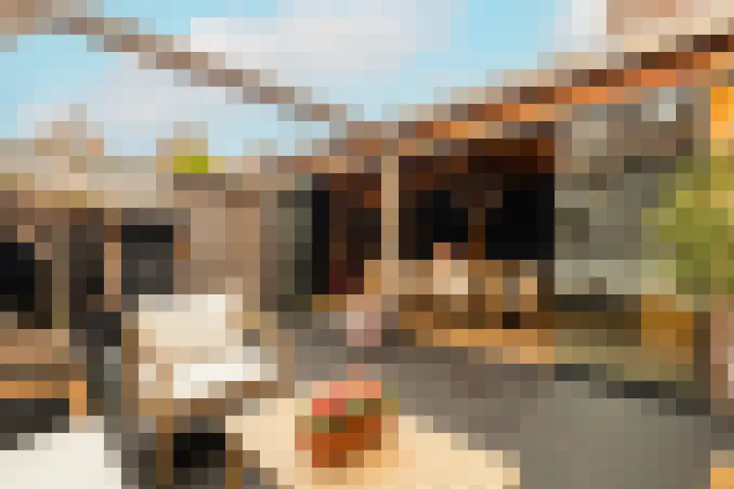 Hofzicht 34 Honselersdijk thumbnail 43