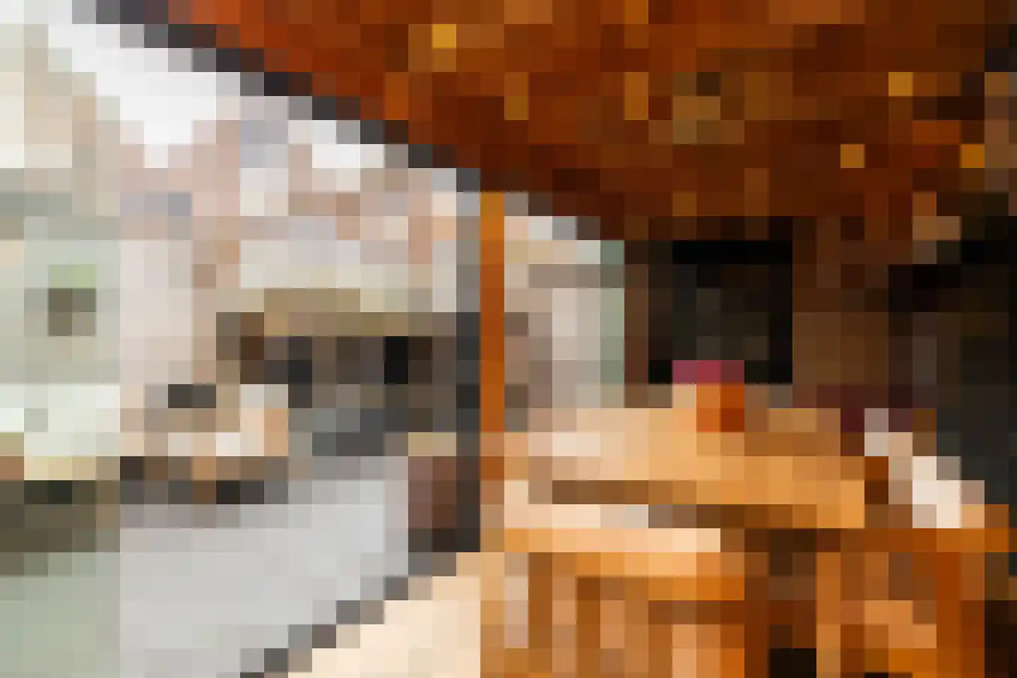Hofzicht 34 Honselersdijk thumbnail 45