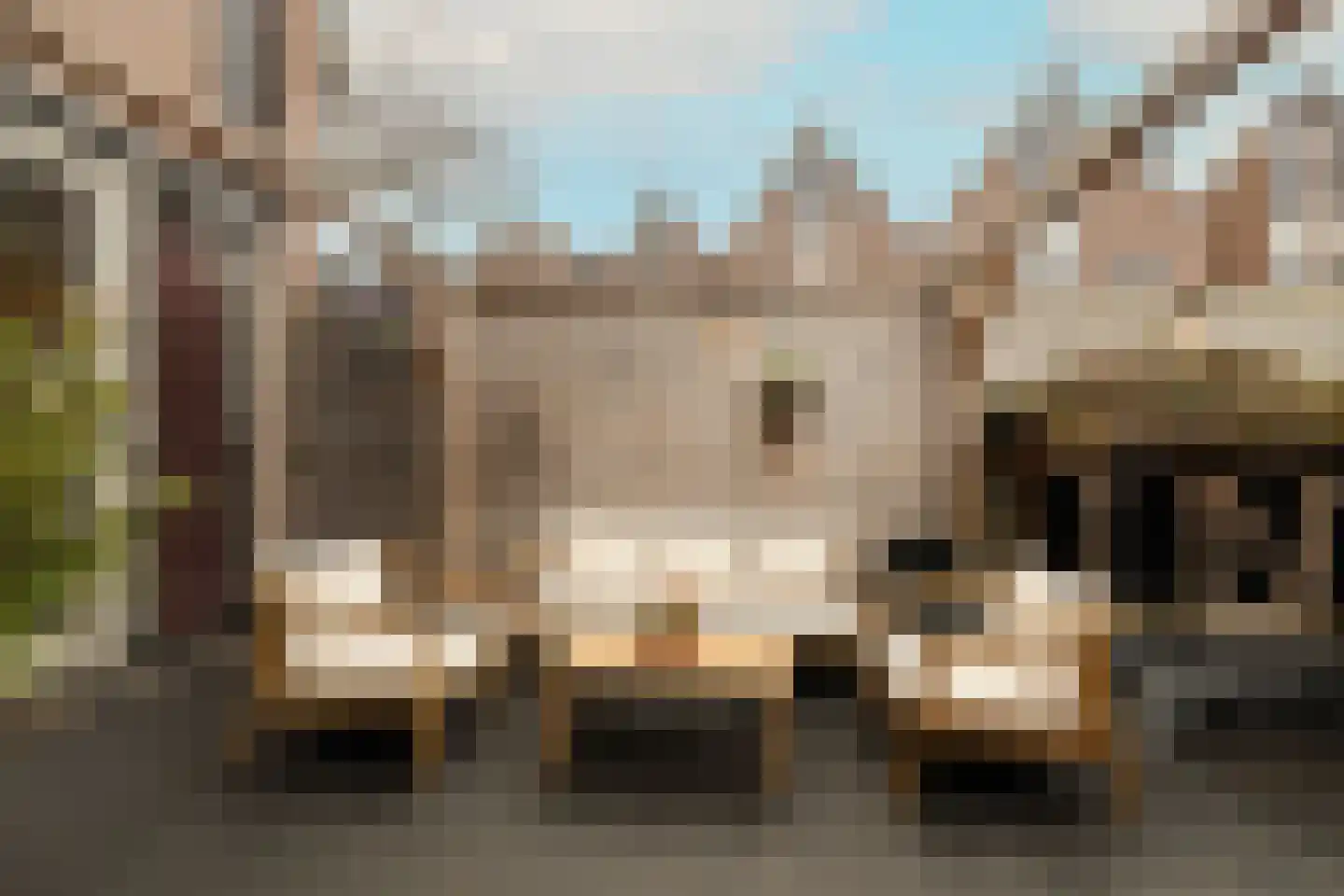 Hofzicht 34 Honselersdijk thumbnail 46