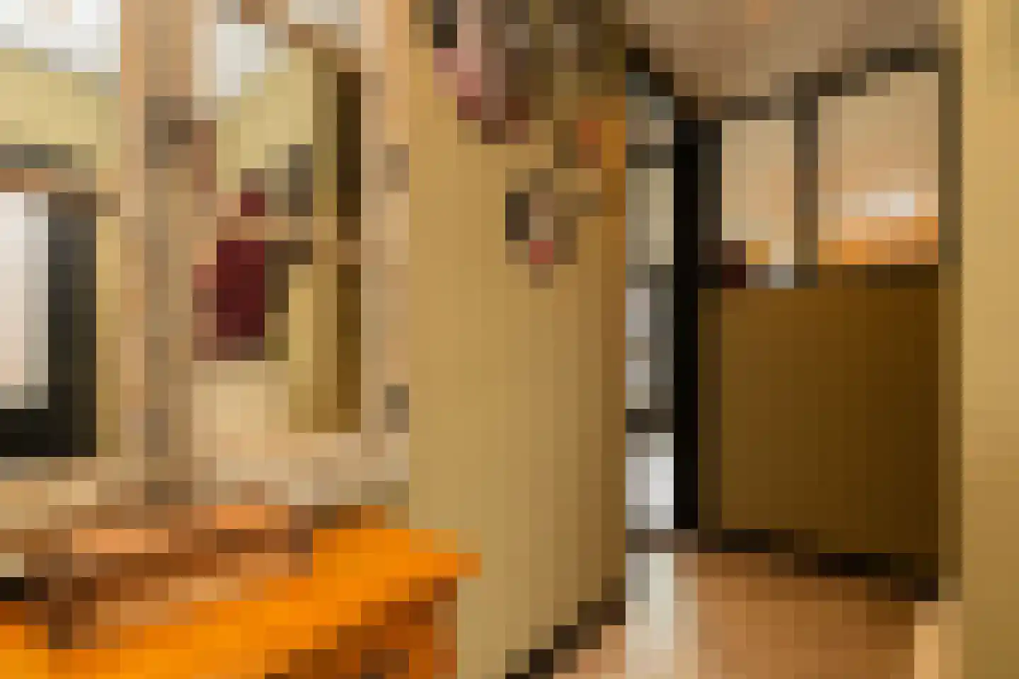 Hofzicht 34 Honselersdijk thumbnail 6