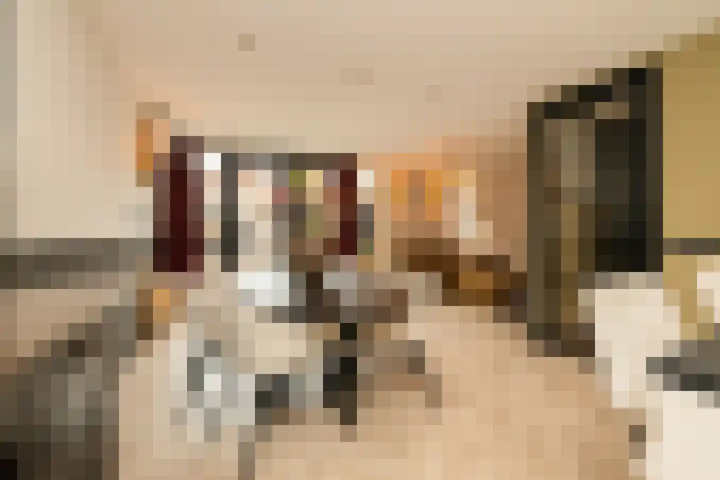 Hofzicht 34 Honselersdijk thumbnail 8