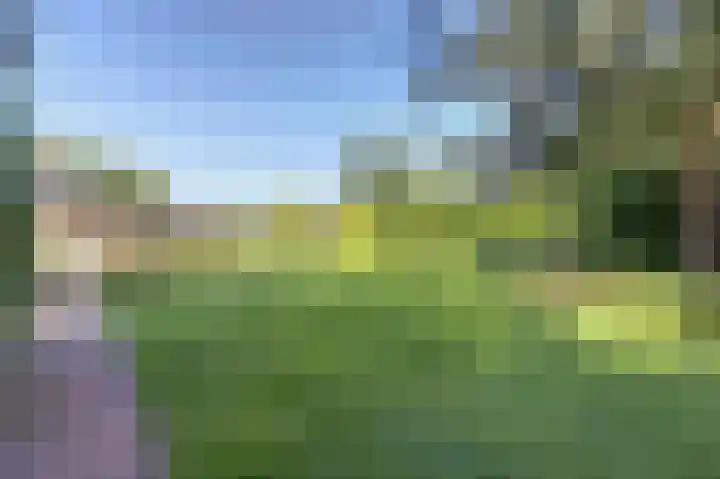 Hofzicht 4 Noordgouwe thumbnail 10
