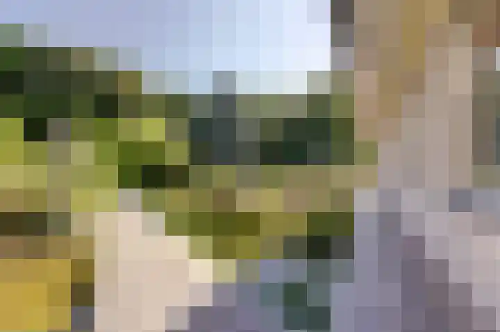 Hofzicht 4 Noordgouwe thumbnail 11