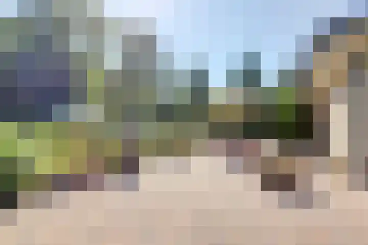 Hofzicht 4 Noordgouwe thumbnail 12