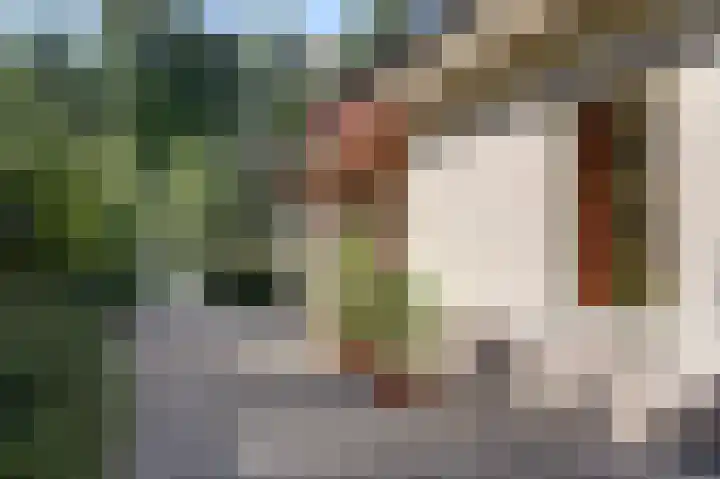 Hofzicht 4 Noordgouwe thumbnail 13