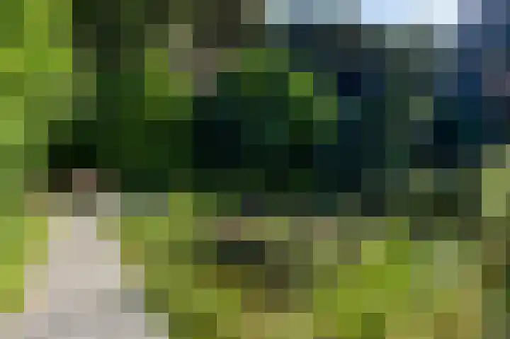Hofzicht 4 Noordgouwe thumbnail 15