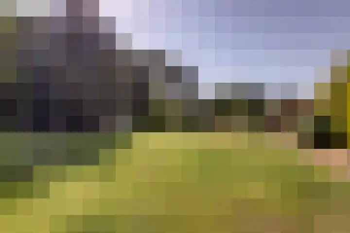 Hofzicht 4 Noordgouwe thumbnail 16
