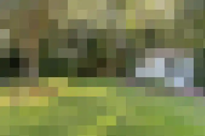 Hofzicht 4 Noordgouwe thumbnail 17