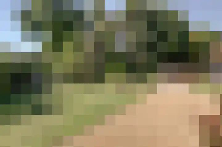 Hofzicht 4 Noordgouwe thumbnail 18