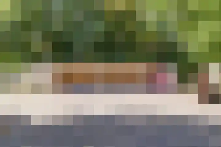 Hofzicht 4 Noordgouwe thumbnail 19