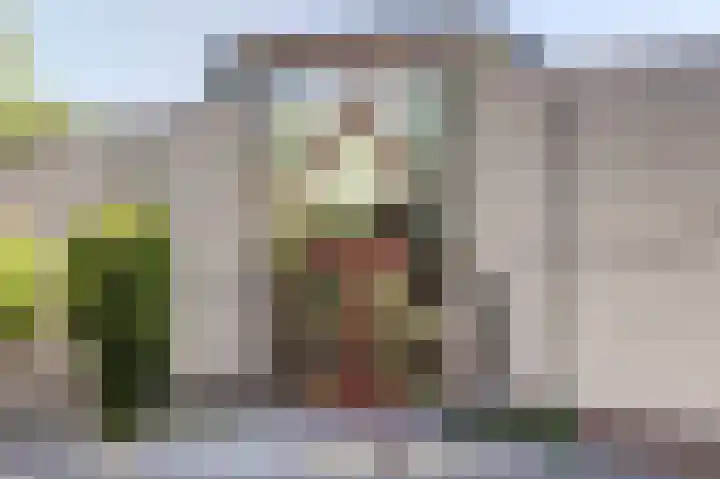 Hofzicht 4 Noordgouwe thumbnail 20