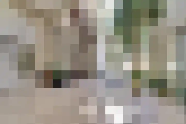 Hofzicht 4 Noordgouwe thumbnail 21