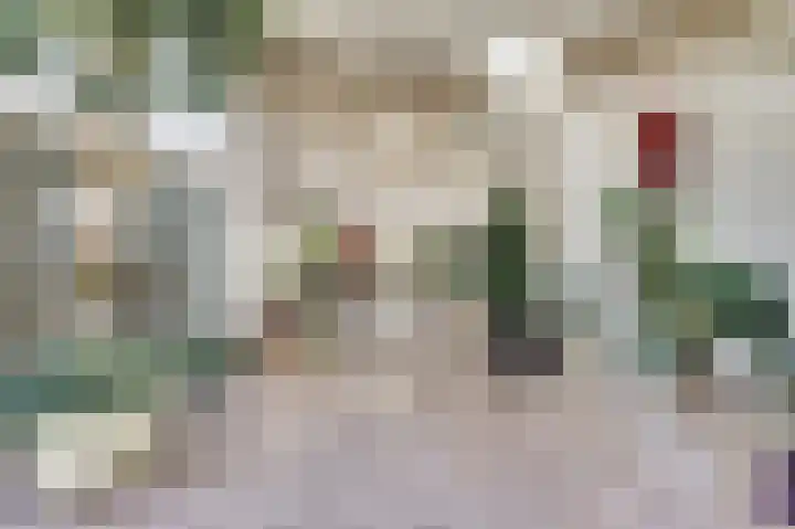 Hofzicht 4 Noordgouwe thumbnail 22