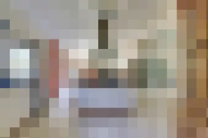 Hofzicht 4 Noordgouwe thumbnail 23