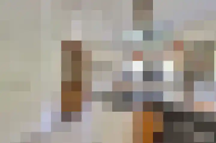Hofzicht 4 Noordgouwe thumbnail 24