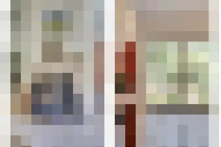 Hofzicht 4 Noordgouwe thumbnail 34