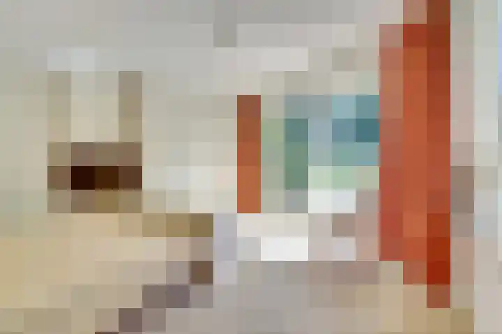 Hofzicht 4 Noordgouwe thumbnail 36