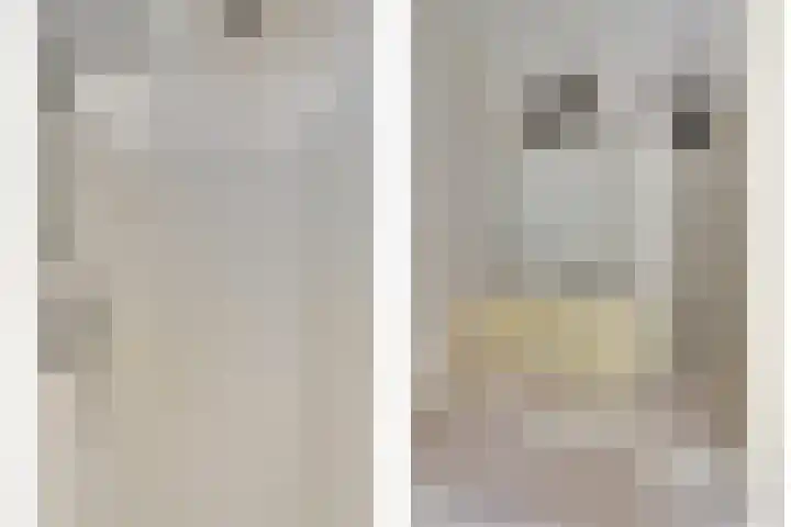 Hofzicht 4 Noordgouwe thumbnail 39