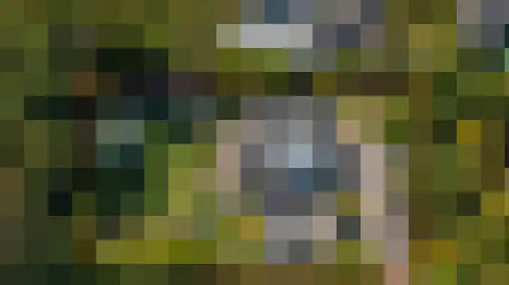 Hofzicht 4 Noordgouwe thumbnail 4