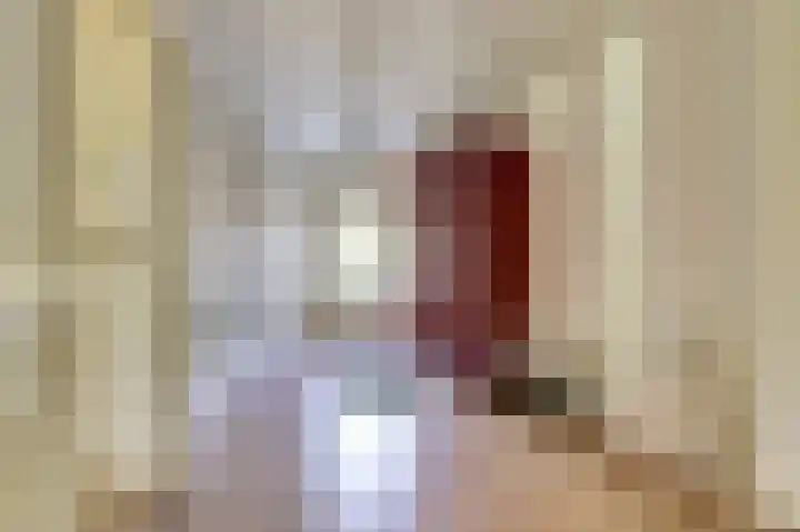 Hofzicht 4 Noordgouwe thumbnail 40