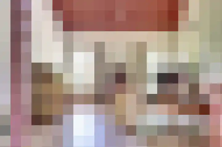 Hofzicht 4 Noordgouwe thumbnail 41