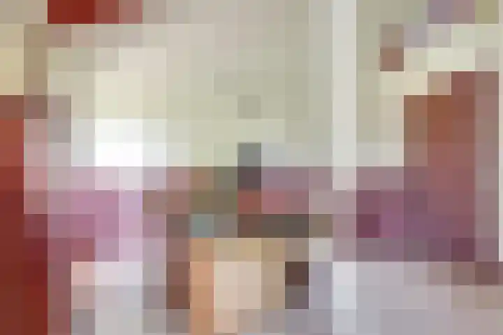 Hofzicht 4 Noordgouwe thumbnail 42