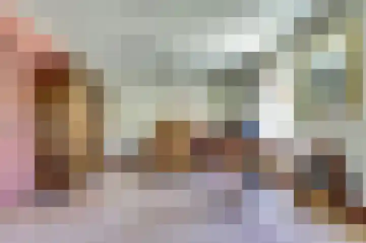 Hofzicht 4 Noordgouwe thumbnail 43