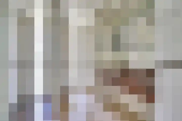 Hofzicht 4 Noordgouwe thumbnail 45