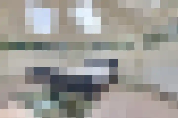 Hofzicht 4 Noordgouwe thumbnail 47