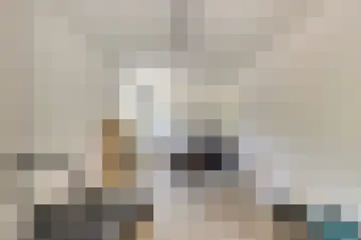 Hofzicht 4 Noordgouwe thumbnail 49