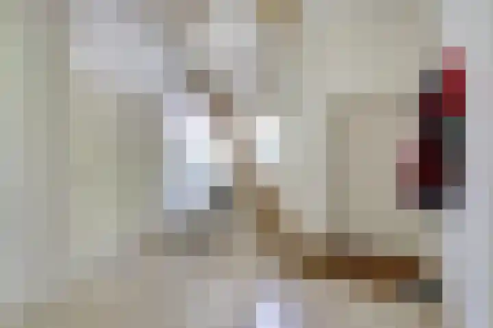 Hofzicht 4 Noordgouwe thumbnail 51