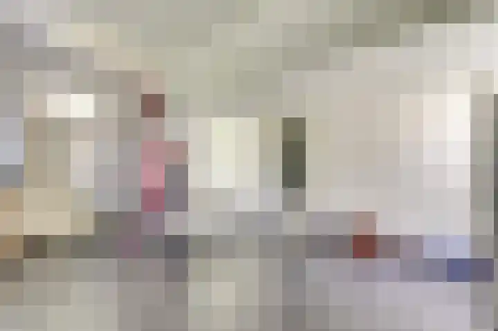 Hofzicht 4 Noordgouwe thumbnail 52