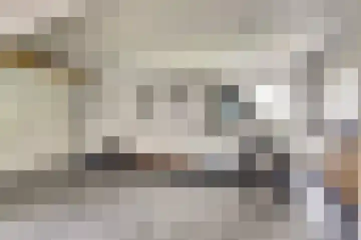 Hofzicht 4 Noordgouwe thumbnail 53