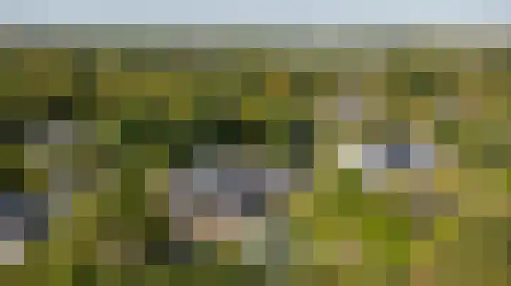 Hofzicht 4 Noordgouwe thumbnail 54