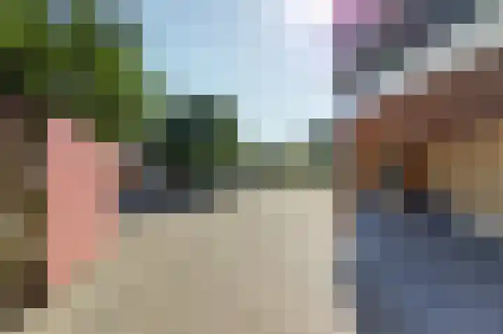Hofzicht 4 Noordgouwe thumbnail 55
