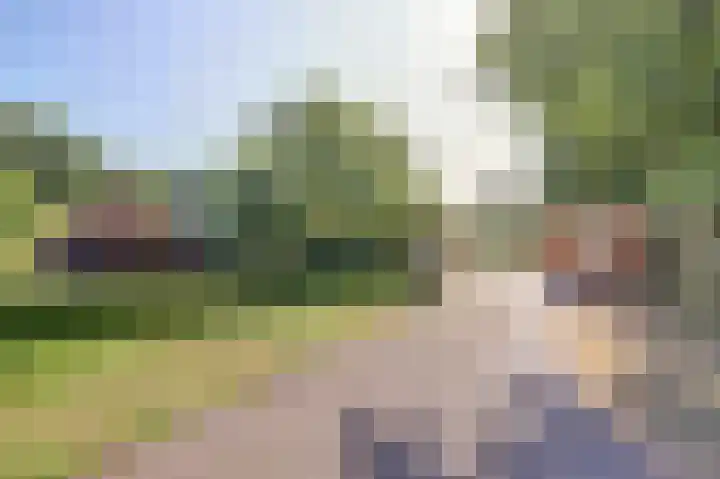 Hofzicht 4 Noordgouwe thumbnail 56