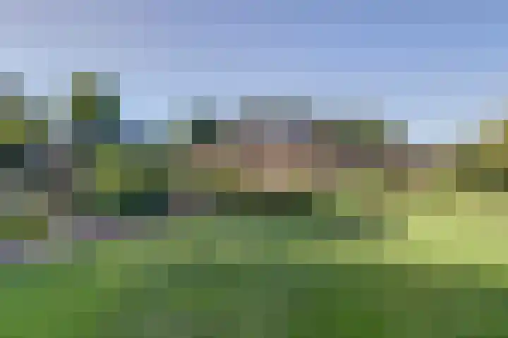 Hofzicht 4 Noordgouwe thumbnail 6