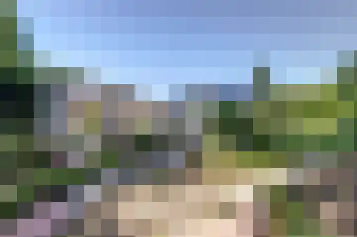Hofzicht 4 Noordgouwe thumbnail 7