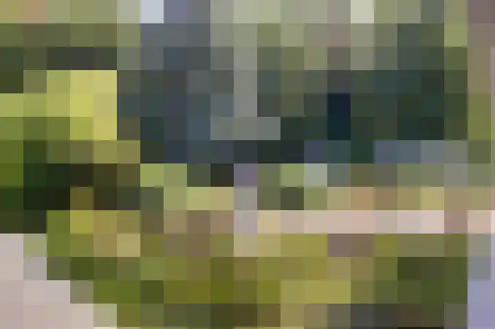 Hofzicht 4 Noordgouwe thumbnail 8