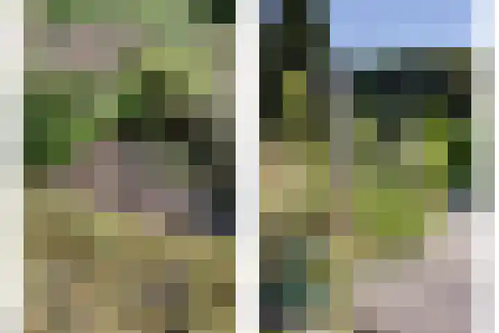 Hofzicht 4 Noordgouwe thumbnail 9