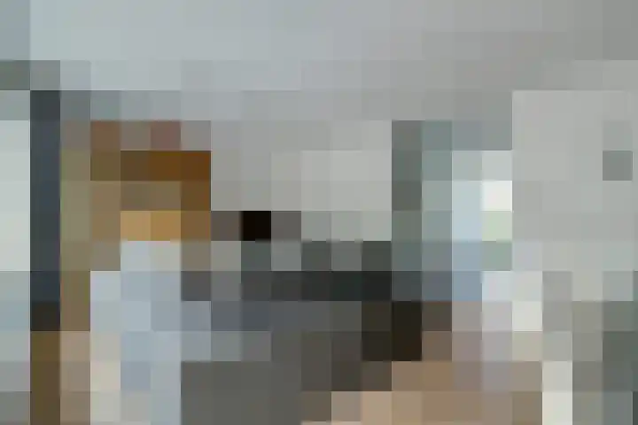 Hofzicht 4 Wateringen thumbnail 10