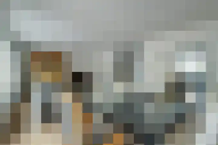 Hofzicht 4 Wateringen thumbnail 11